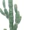 3ft. Potted Green Cactus Tree by Ashland®